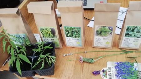 Zelisca za vsak okus 9